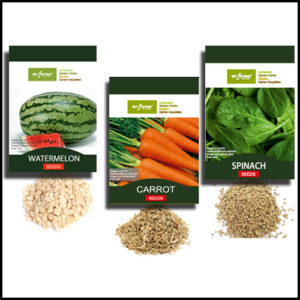 Seeds
