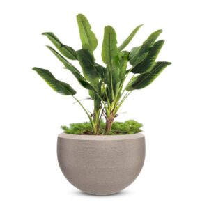 Plastic Pot A- Textured Finish