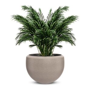 Plastic Pots B-Textured Finish