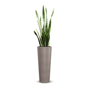 Plastic Pot O- Textured Finish