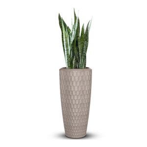 Plastic Pot N- Textured Finish