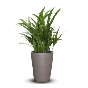 Plastic Pot Q- Textured Finish