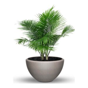 Plastic Pot F- Textured Finish