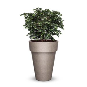 Plastic Pot I- Textured Finish
