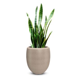Plastic Pot C- Textured Finish