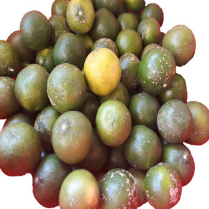 Goa Lime (Orange Inside) Plant