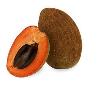 Chikoo Plant