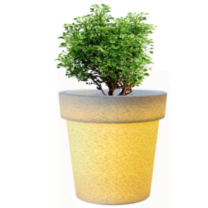LED Planters - E