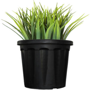 Round Plastic Pot Black- C