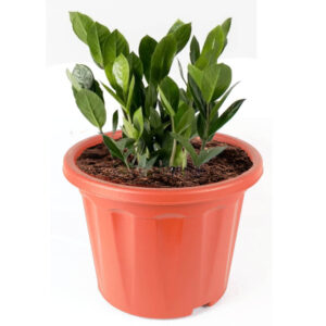 Round Plastic Pot Terracotta - C