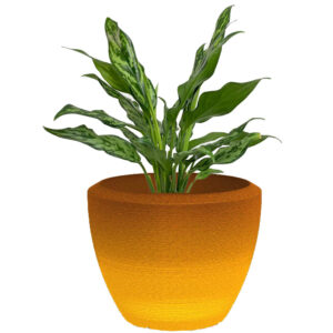 LED Planters - D