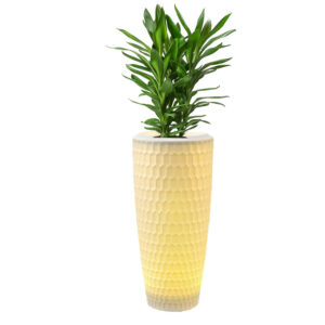 LED Planters- B