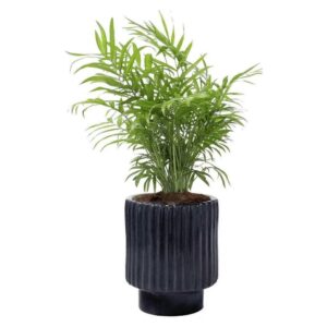 Ceramic Pot S-94