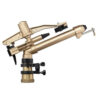 Eao-89 Golden eagle