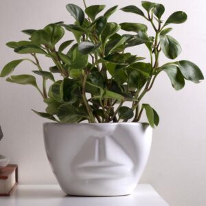 Ceramic Pot S-74