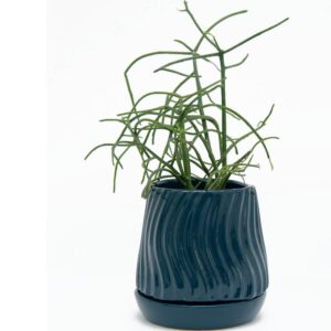 Ceramic Pots S-104