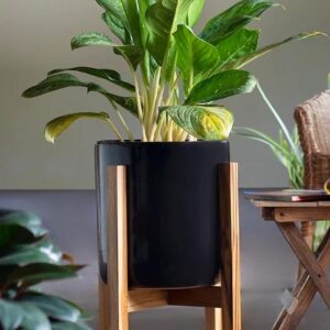 Ceramic Pot With Wooden Stand S-94