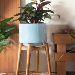 Ceramic Pot With Wooden Stand S-93