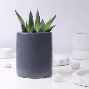 Ceramic Pots S-109