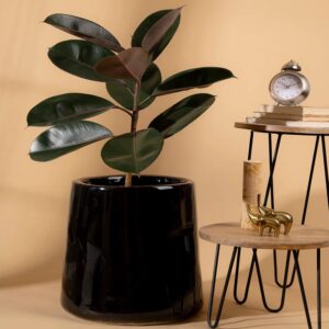 Ceramic Pots S-106