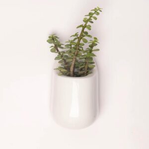 Ceramic Wall Hanging Pot S-101