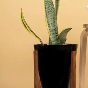 Ceramic Pots With Wooden Stand S-91