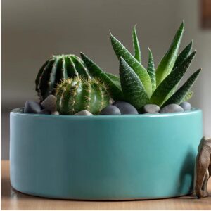 Ceramic Flat Pots S-95