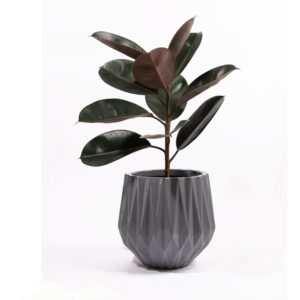 Ceramic Pots S-90