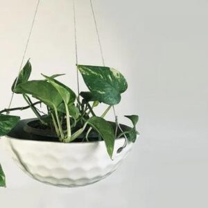 Ceramic Hanging Basket