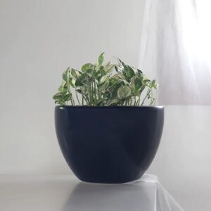 Ceramic Pot S-112