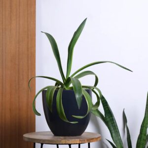 Ceramic Pot S-112