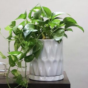 Ceramic Pot S-120