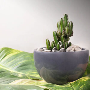 Ceramic Fat Pots S-700