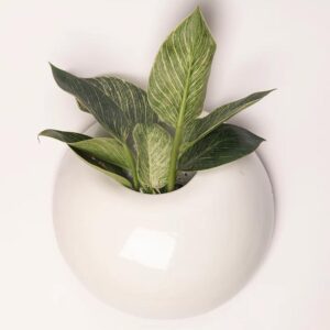 Ceramic Pot Wall Hanging S-99