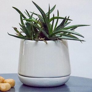 Ceramic Pot S-90