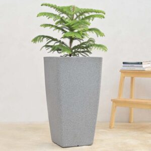 Tall Plastic Pot- 6