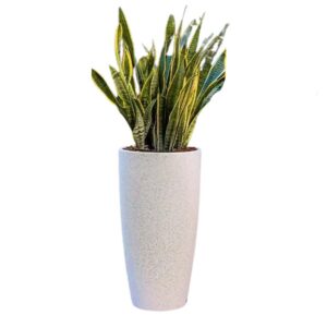 Tall Plastic Pots - 13