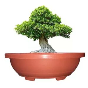 Round Plastic Pots- 22