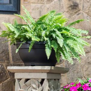 Round Plastic Pot -23