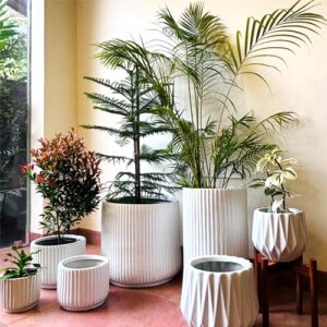 Ceramic Pots