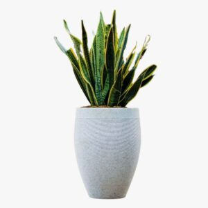 Round Plastic Pots-18