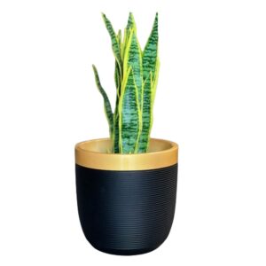 Round Plastic Pots- 24 (With Inner)