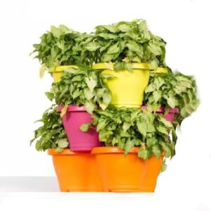 Plastic Pots-27