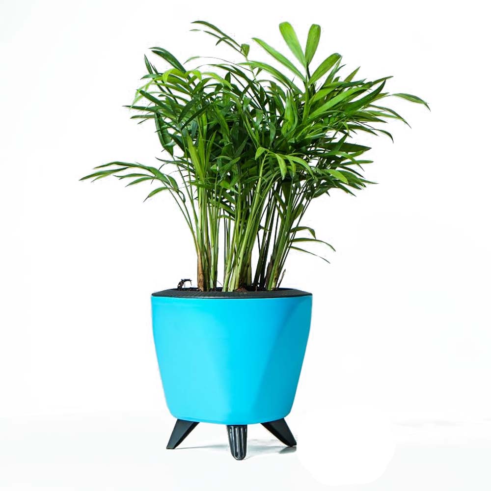 lagos planter