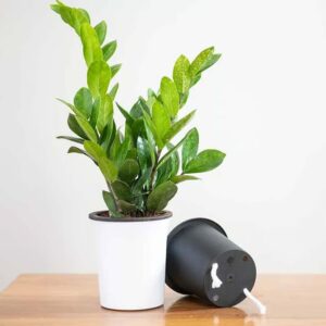 Round Plastic Pots-32
