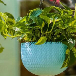 Plastic Pots- 38