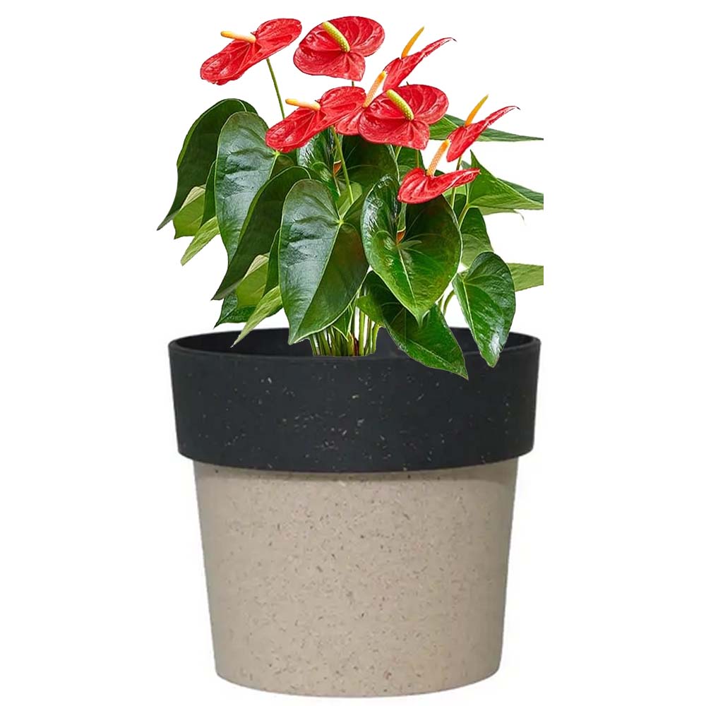 Arty round planter