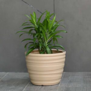 Round Plastic Pot- 42